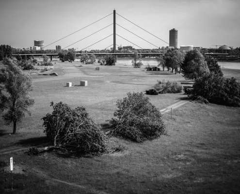 Durch den Sturm umgestürzte Bäume auf der Rheinaue in Düsseldorf